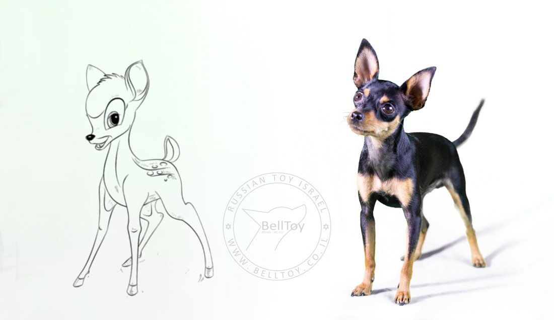 gidul tipuah znakomtes 1100