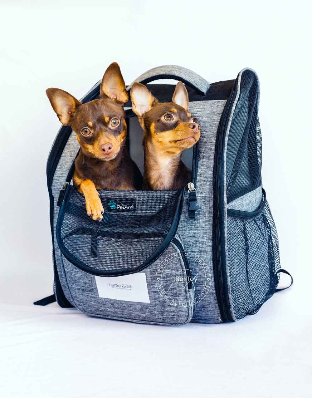 remy chapa ryukzak 1000 87.6