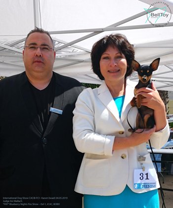 04.05.2019 Международная выставка собак