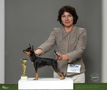 07.12.2019 Двойная Клубная Выставка собак