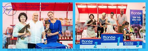 28.07.2018 Двойная клубная выставка