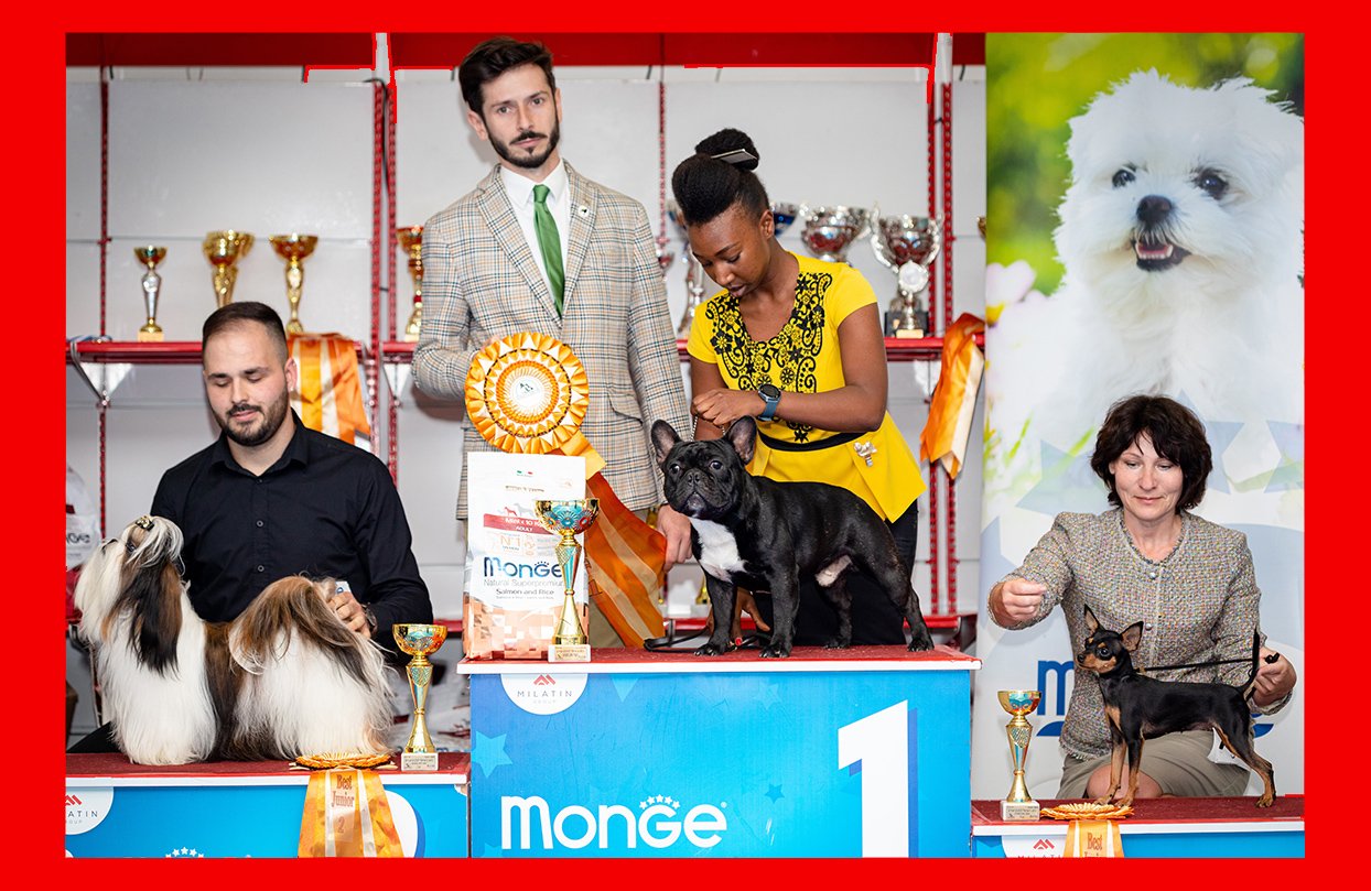 טוי רוסי בתערוכה BellToy 