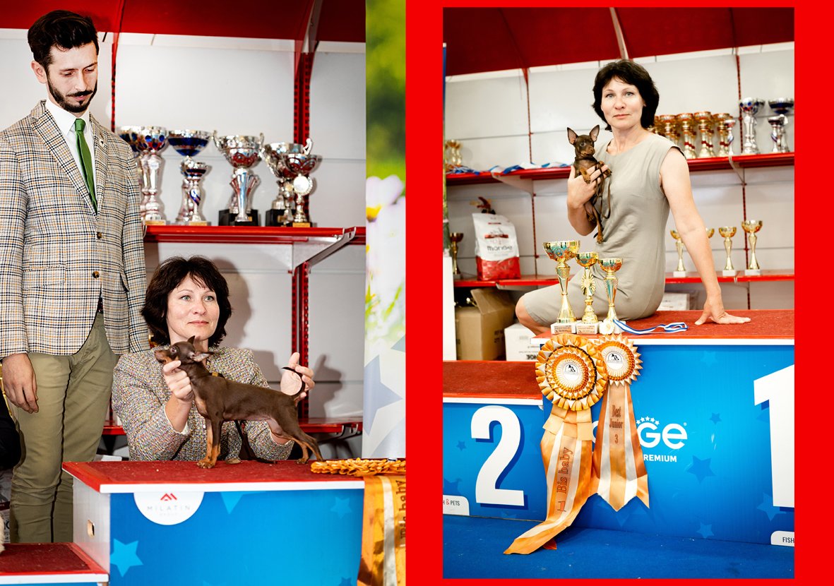 טוי רוסי בתערוכה BellToy 