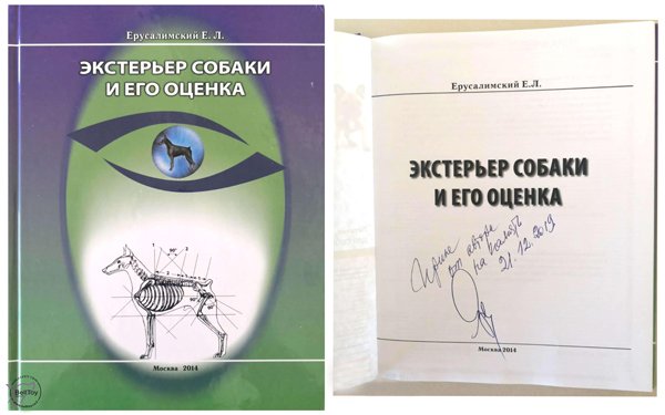 Кинологический семинар в Израиле - BellToy2