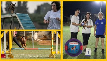 13.09.2019 Официальные соревнования Аджилити