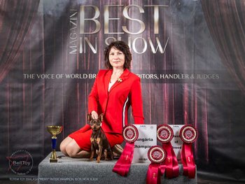 07-10.02.2019 Венгрия - FeHoVa Winter Dog Show