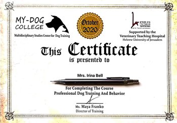 אני מאלפת כלבים 08.02.2021