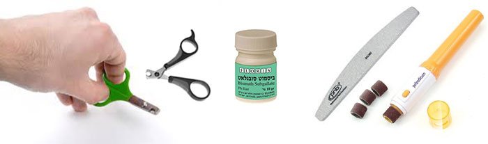 Стрижка когтей Русский той