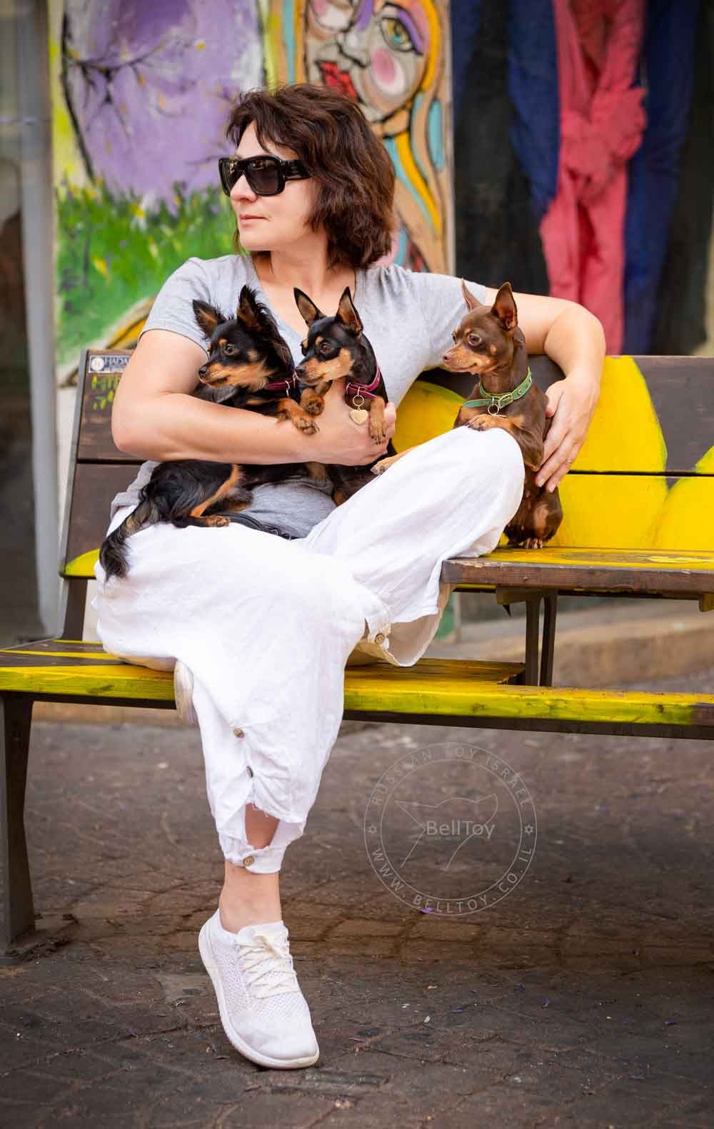 Собаки питомника Belltoy Osher Русский Той Израиль