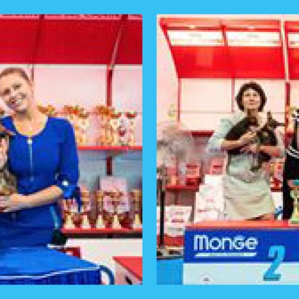 החוג לכלבים זעירים - תערוכה הכפולה 28.07.2018