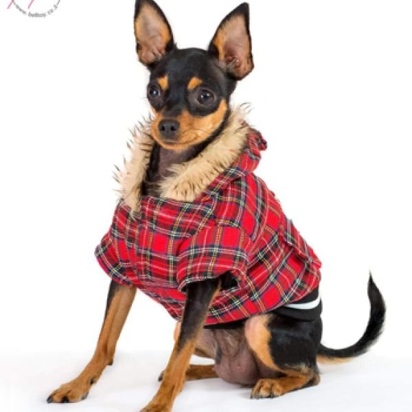 Модельная карьера наших Русских тоев