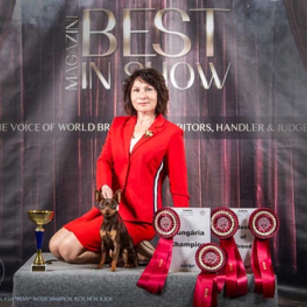 07-10.02.2019 Венгрия - FeHoVa Winter Dog Show