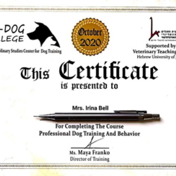 אני מאלפת כלבים 08.02.2021