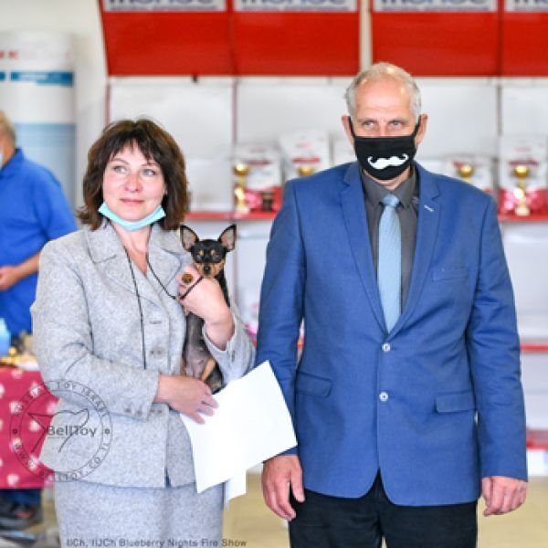 13.03.2021 выставка ранга cacib