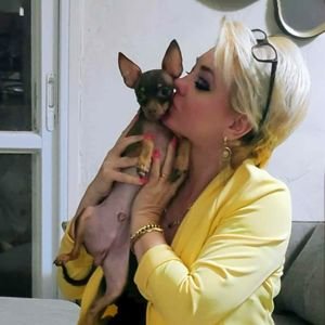 ליזה ברנטני ולויצ'יק