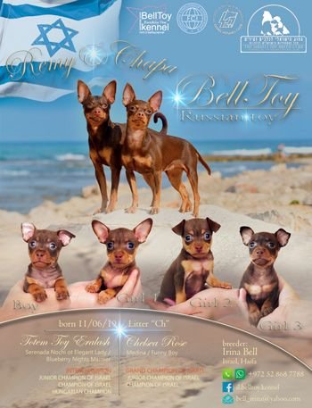 11.06.2019 У нас родились щенки