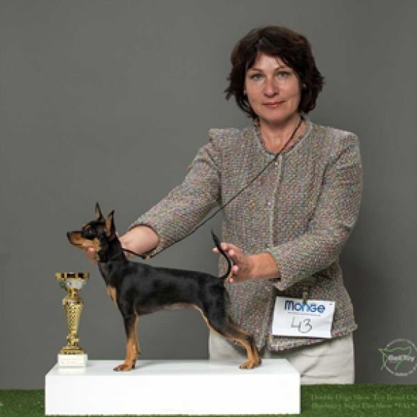 07.12.2019 Двойная Клубная Выставка собак