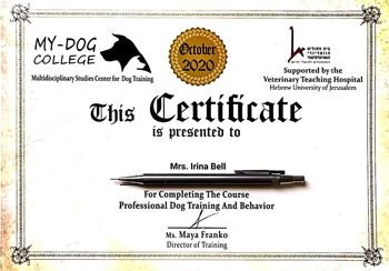 אני מאלפת כלבים 08.02.2021